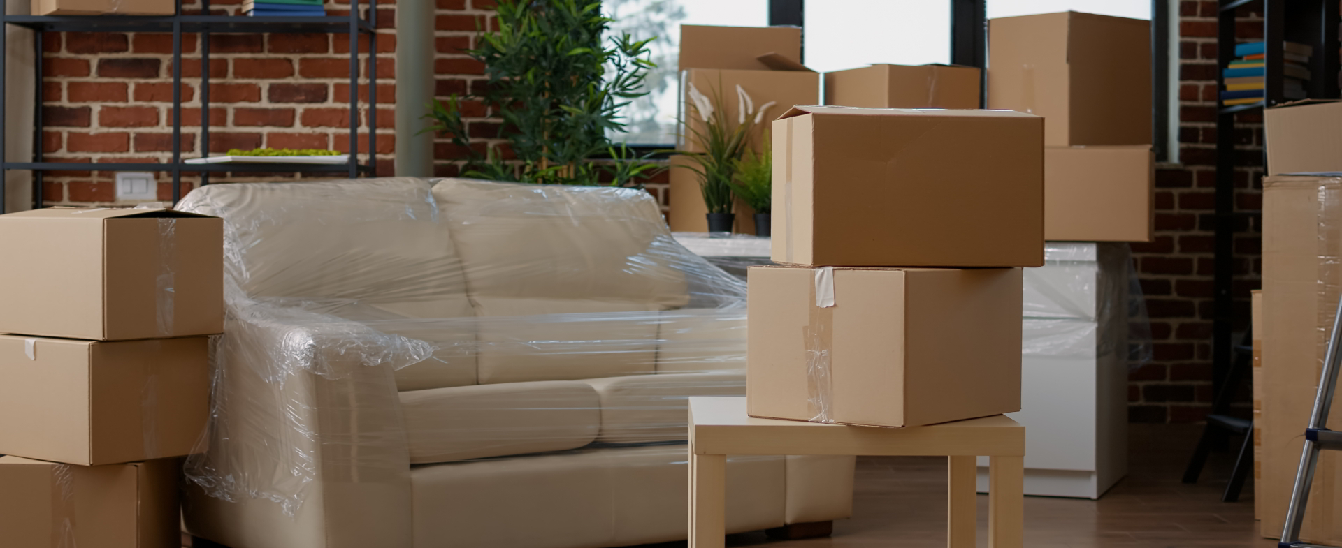 Contact Background Image